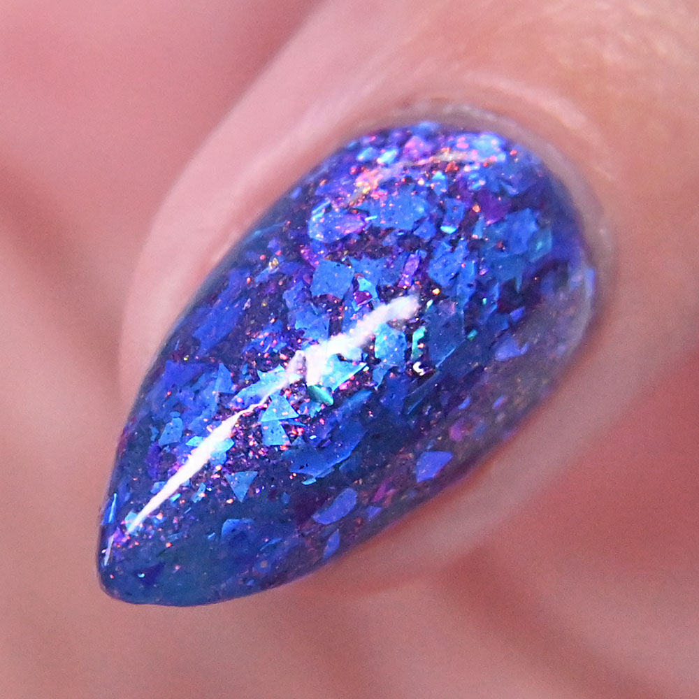 Polish Pickup May 2025 | Tropical Forest